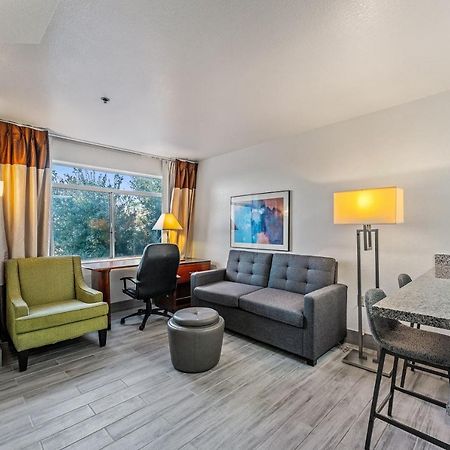Chandler 1 Bd 1 Ba Fully Renovated Premium Lux Apartment Pets Allowed 외부 사진
